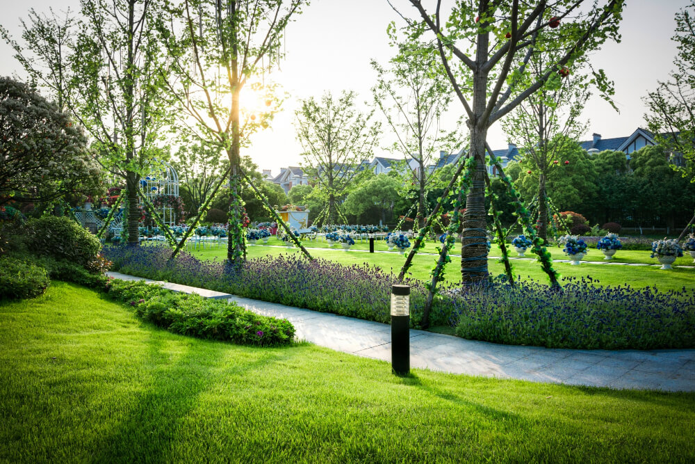Landscaped Gardens